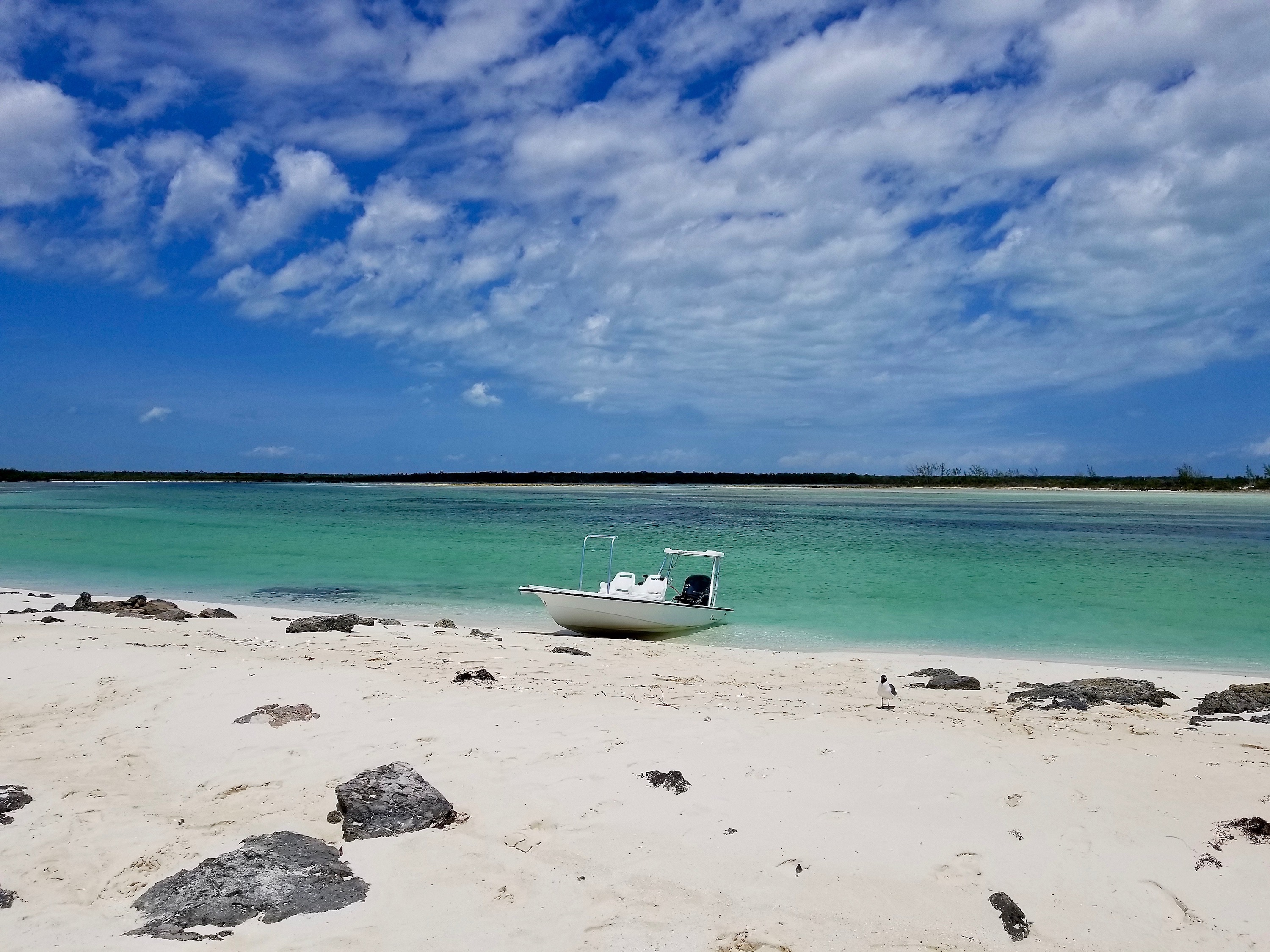 bone-fishing-in-the-bahamas-fab-senior-travel