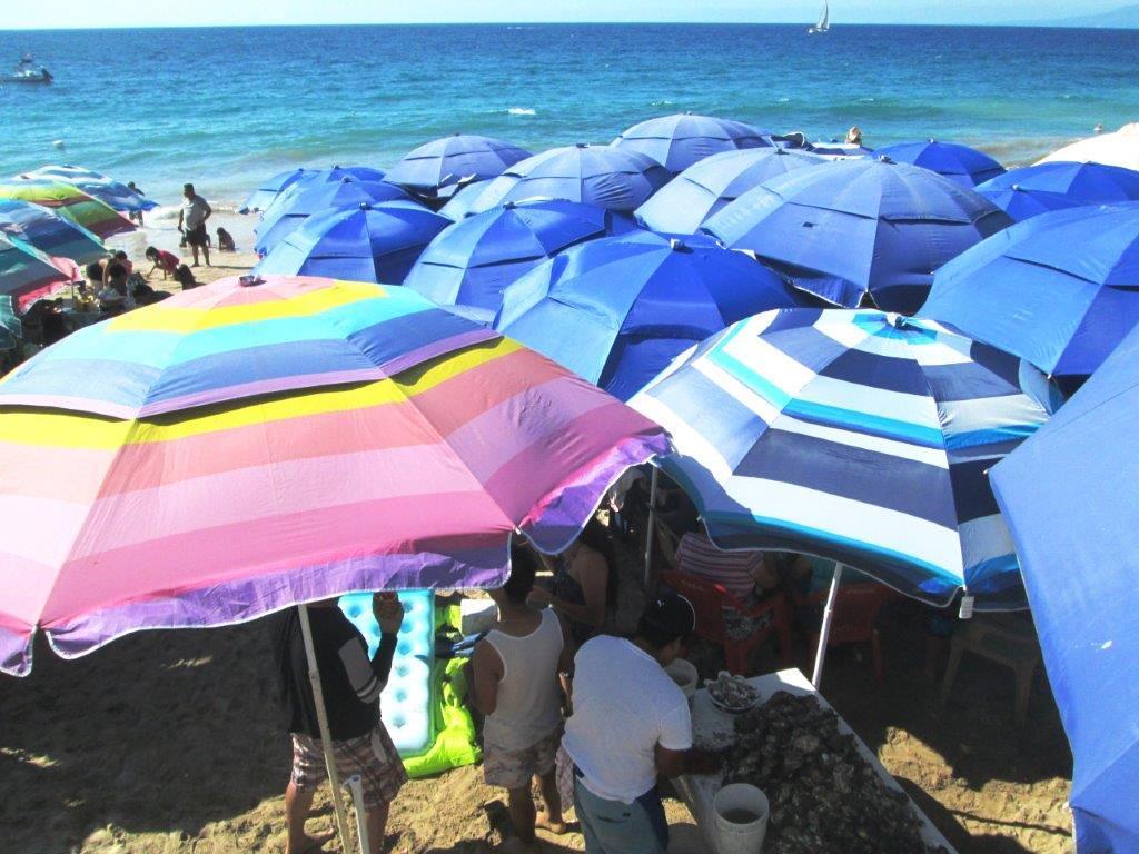 Puerto Vallarta: Malecon Magic and Mayhem